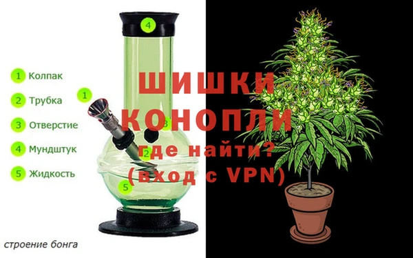 дурь Аркадак