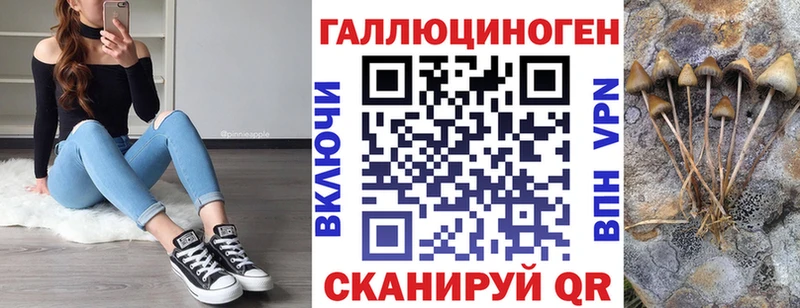 Псилоцибиновые грибы Psilocybine cubensis  Ревда 